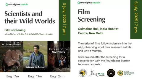 A Documentary Screening on Bees, Cities &amp; Survival